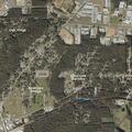 78-year-old woman falls with low oxygen in Pell City
