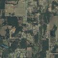 Runaway reported on County Road 211 in Gainesville