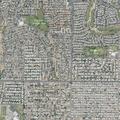 Person with altered consciousness near Scottsdale