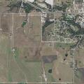 Loose cow on roadway near County Road 350