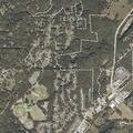 Loose dogs chasing children near Rock Creek Circle
