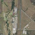 Cow wandering on runway at Gainesville airport