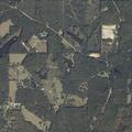 Wildland fire reported on Chandler Road in Webster