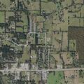 Disturbance reported at Pickers business
