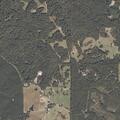 Welfare concern for woman near Sparta Road