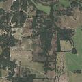 Brush fire in pasture near Carminati Road