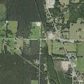 Person experiencing severe headache near Pineywood Drive