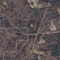 Burn complaint for pile of trees on Castle Heights