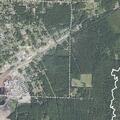 Report of runaway juvenile near South Cedar in Bearden