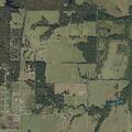 Grass fire in field near tree line reported out