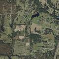 20-year-old male with hand cut at Dogwood Circle