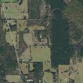 Small brush fire near trees in Bagwell area