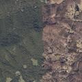 Controlled brush fire reported near Sellers Road