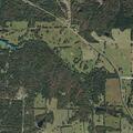 83-year-old male falls near County Road 34650 in Sumner TX