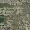 80-year-old male reported sick near Ray Drive