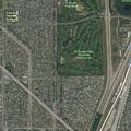 94-year-old woman with head injury in Long Beach