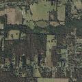 81-year-old woman with chest pain in Powderly home