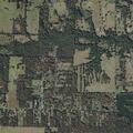 Large brush fire with structures at risk in Lamar County