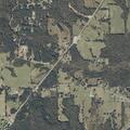 Teen reports aunt assaulting her at Pine Dale home