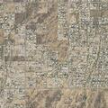 Custody dispute complaint near N 1st St (Cave Creek area)