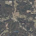 Young child found alone on roadside in Jasper