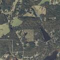 Elderly woman passes out near Holliday Drive