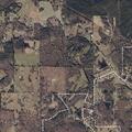 Wildfire burning along Tabernacle Road roadside