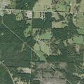 Police search for person near County Line Road home