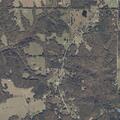 Tree blocks County Road 54 in Bremen