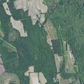 Person with psychiatric behavior requires ambulance transport