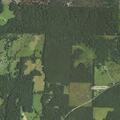 Person sustained fall near Old Caddo Gap Road in Delight