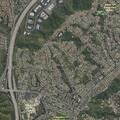 Person bitten at South Silver Hawk Drive
