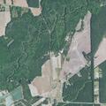 Elderly woman vomiting near Scranton highway