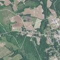 6-year-old falls and unable to get up in Pamplico