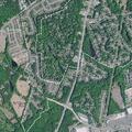 Group of teens causing disturbance on Ivy Green Lane