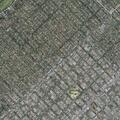 Person reporting back pain near Idaho Avenue
