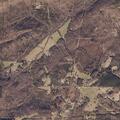 97-year-old female found not breathing at home
