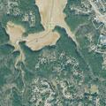 90-year-old woman with bleeding arms at Hill Forest Trail