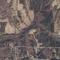 Tree down reported near county roads 223 and 236