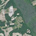 67-year-old female fell from bed unable to rise