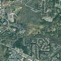 Traffic stop on brown Kia Soul in Alpharetta