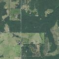 Crews search for brush fire on Wheeler Road