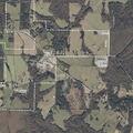 Woman found confused near County Road 3906 in Arley