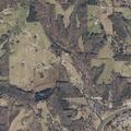 Tree blocks County Road 222 near community center