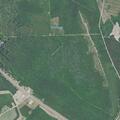 91-year-old woman with hypertension at S Hwy 501