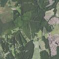 Assault reported on Dogwood Street in Winnabow