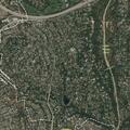 Domestic assault involving hammer at Church Avenue