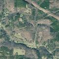 86-year-old female falls at Morgan Dairy Rd with COVID