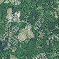 Person reported sick near Stoney Pointe Drive, Chapin