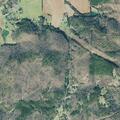 Woman vomiting near Morgan Dairy Road in Cave Spring